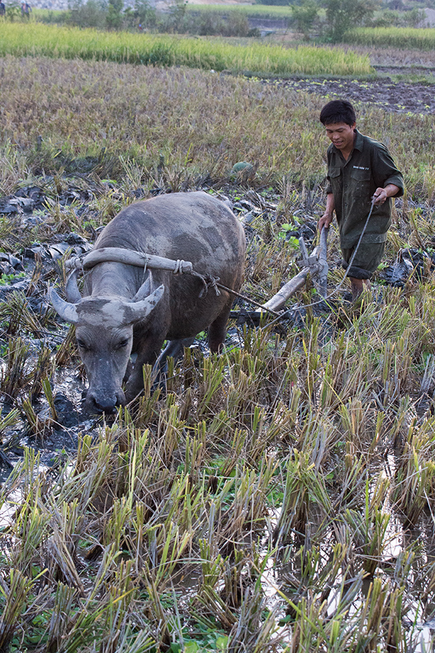 Ha Chiang   Retour Hanoi   008